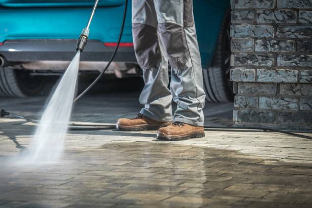 Best Pre-Holiday Cleaning  in Avon, PA